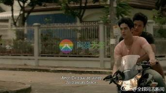 青少年同性恋视频,青少年同性恋生活的真实写照