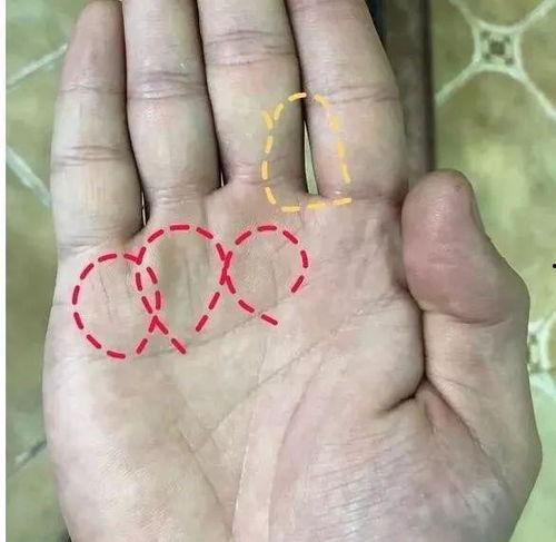 手相视频财,财生成势,财运亨通的秘密解析